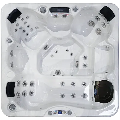 Avalon EC-849L hot tubs for sale in Lowell